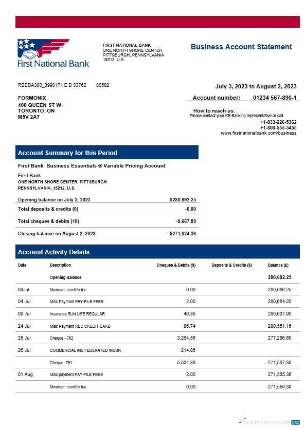 Download First National Bank firm statement Word and PDF template Photoshop template